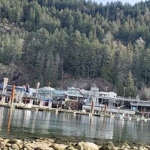 Meet your Posher, Raman